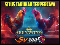 arenawin88