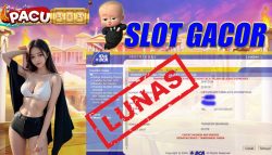 slot deposit dana