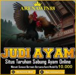 Situs Taruhan sabung Ayam Online