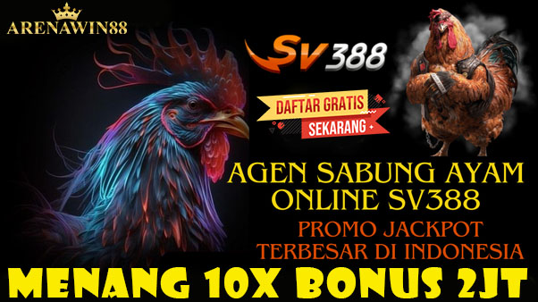 sv388 sabung ayam