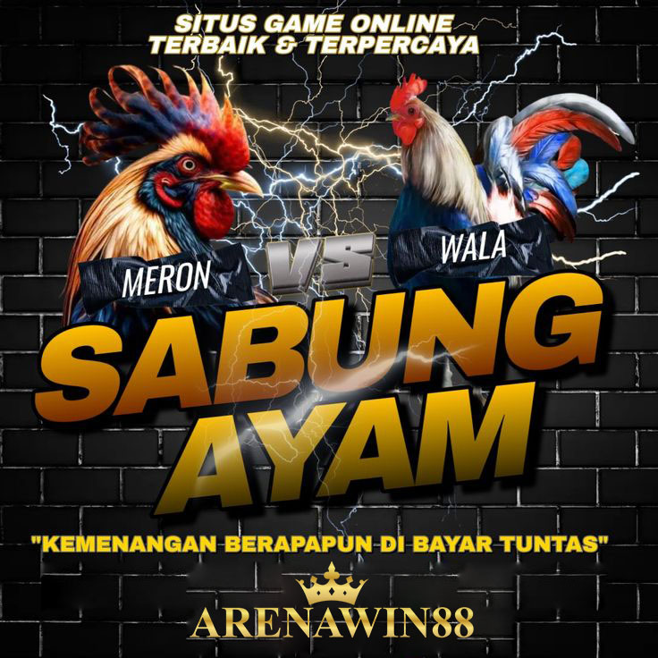 sv388 sabung ayam